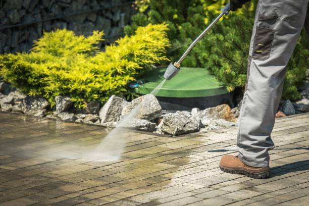 Best Dumpster Area Cleaning  in Ashland, NJ